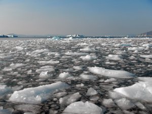 Brash-ice dans le fjord d'Inglefield - 22 août 2017