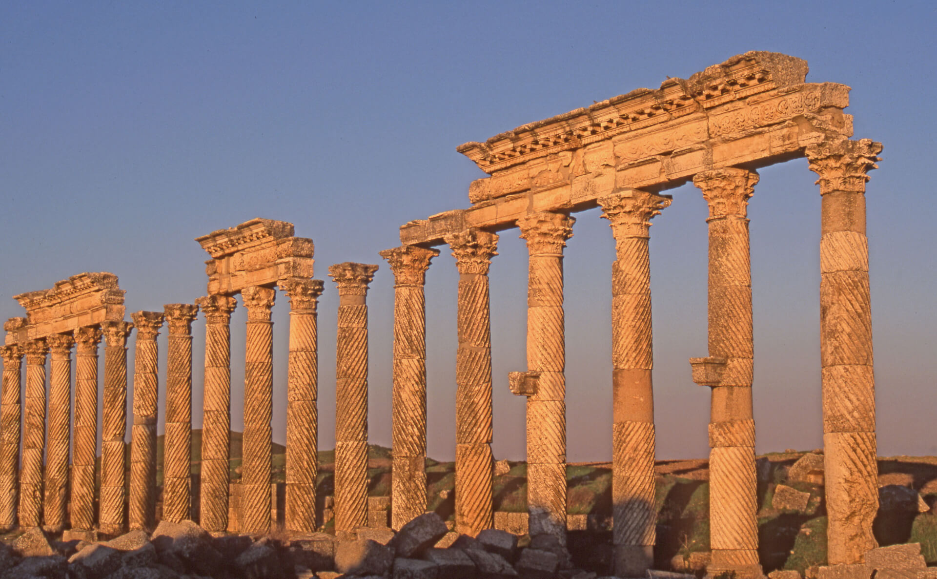 Apamée, grande colonnade torsadée