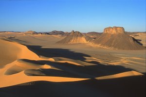 Dans les dunes de Tihodaïne