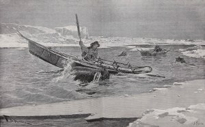Nansen repousse l'attaque d'un morse (Gravure de l'époque).