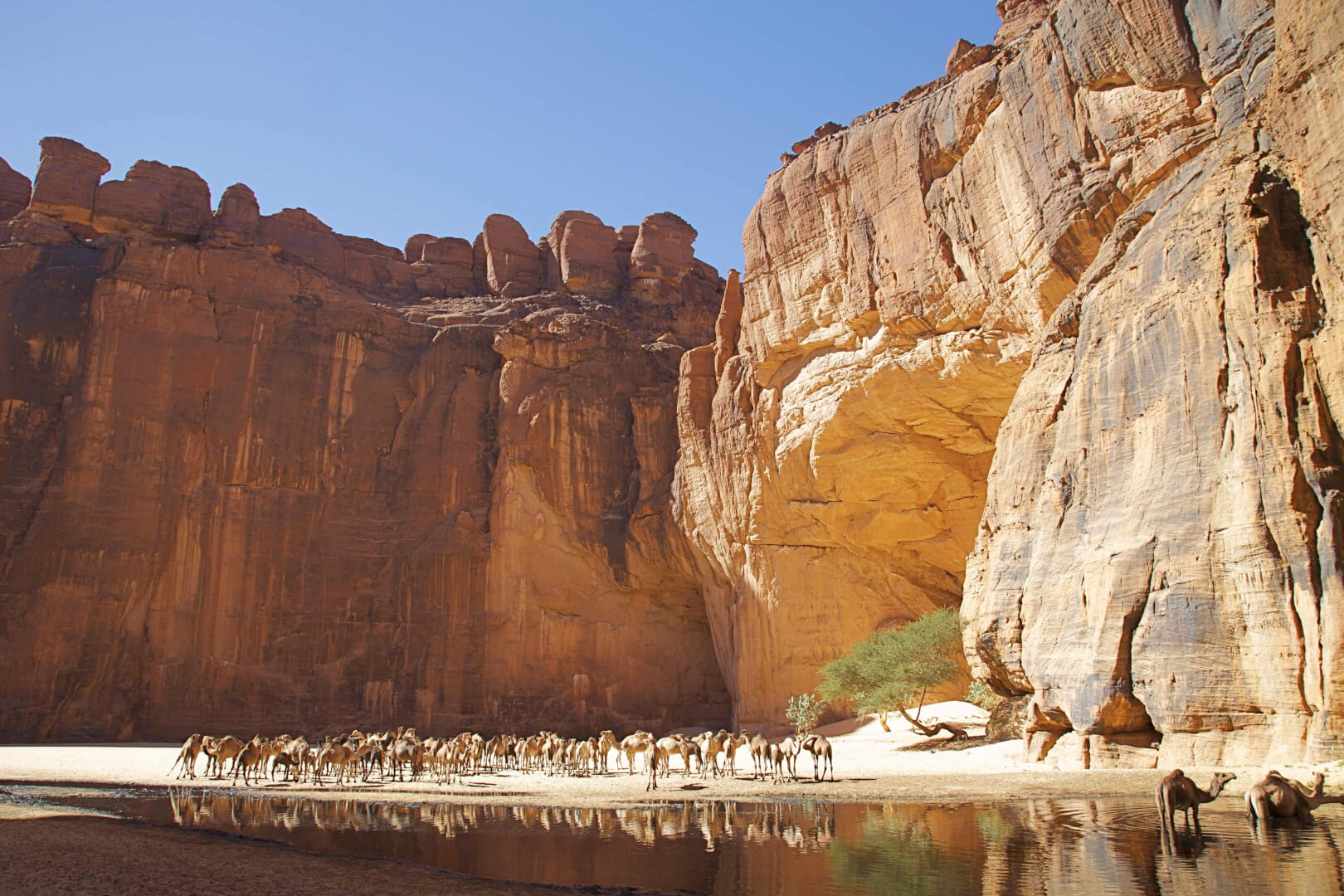 La guelta d'Archeï