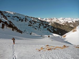 Vallée d'Aspe, en montant au refuge de Larry - 17 Février 2012.