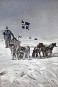 Olav Bjaaland et son traîneau au Pôle Sud.