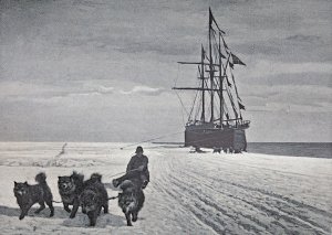 Embarquement du matériel et des chiens à la baie des Baleines - Janvier 1912.