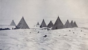 Le camp des chiens à Framheim - Mars 1911.